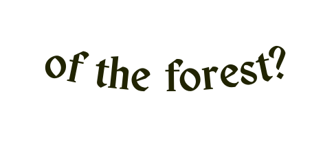 of the forest